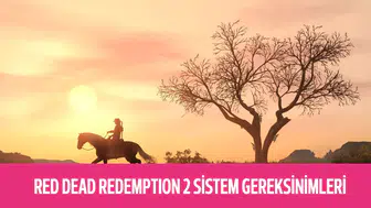 Red Dead Redemption 2 Sistem Gereksinimleri 2026